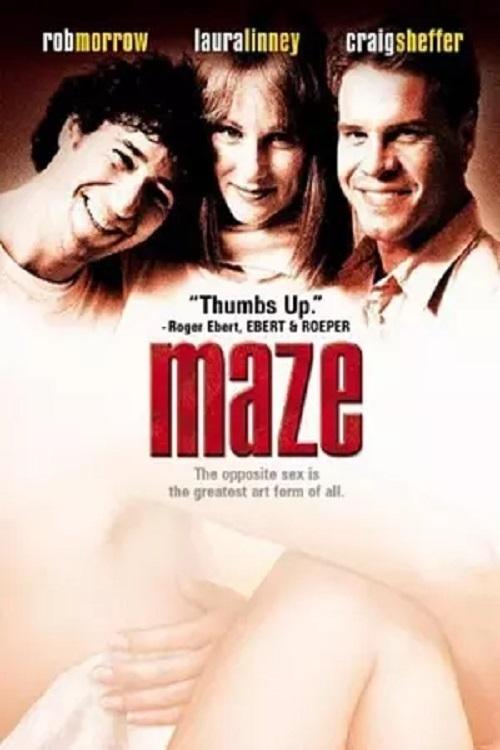 Постер Maze